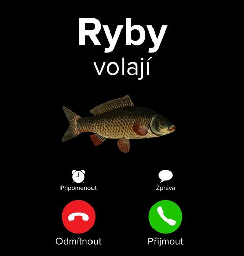 Obrázek produktu Dámské tričko Ryby volají Phone Call