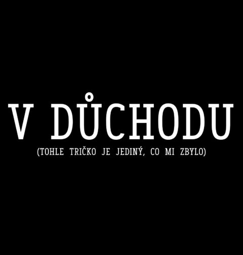 Obrázek produktu Dámské tričko V důchodu (tohle tričko je jediný, co mi zbylo)