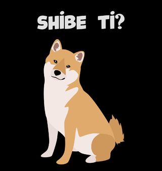 Obrázek 2 produktu Dámské tričko Shiba Inu Shibe ti?