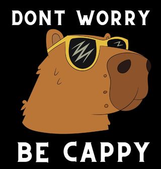 Obrázek 2 produktu Pánské tričko Drsná Kapybara Don't Worry Be Cappy