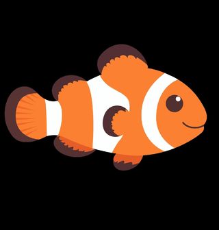 Obrázek 2 produktu Dámské tričko Hledá se Nemo Clownfish