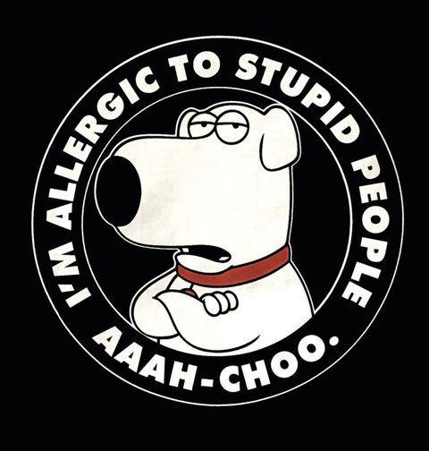 Obrázek produktu Pánské tričko Griffinovi Brian Griffin Family Guy