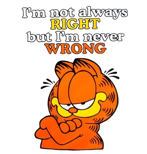 Obrázek produktu Pánské tričko Garfield „Nikdy se nemýlím“
