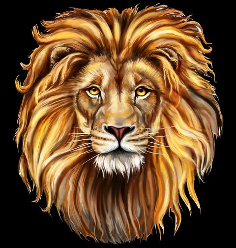 Obrázek produktu Pánské tričko Lev Aslan Mighty Lion