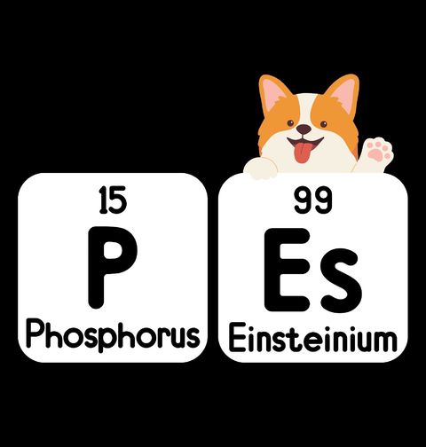Obrázek produktu Pánské tričko Chemické prvky Pes