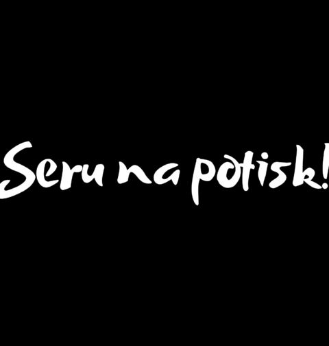 Obrázek produktu Pánské tričko Seru na potisk!