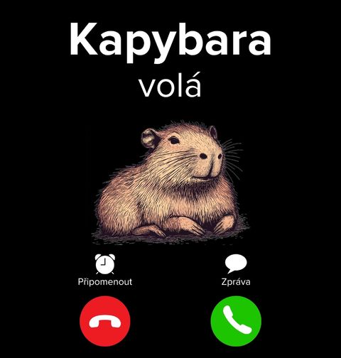 Obrázek produktu Pánské tričko Kapybara volá Phone Call