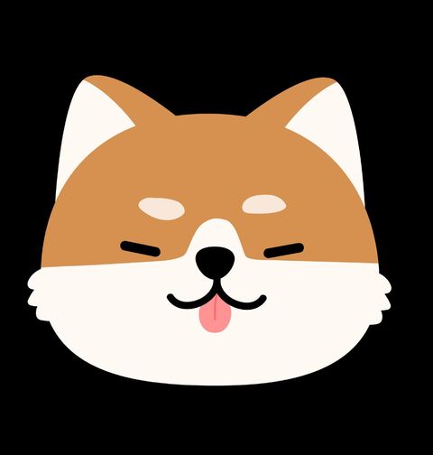 Obrázek produktu Dámské tričko Shiba? Spíš Shibnutý!