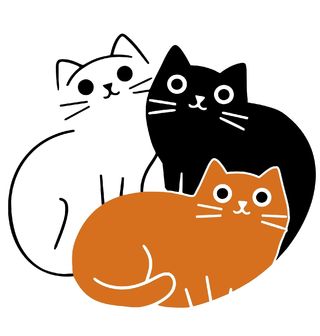 Obrázek 2 produktu Dámské tričko Kočičí trio - Černá, Bílá, Oranžová