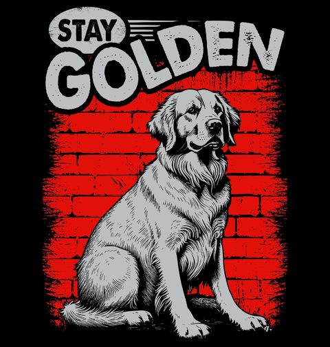 Obrázek produktu Pánské tričko Zlatý Retrívr Stay Golden