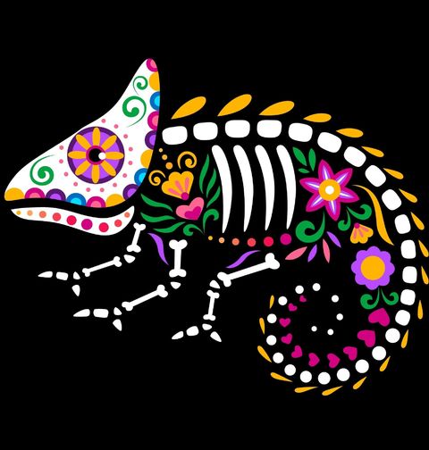 Obrázek produktu Pánské tričko Mexická Kostra Chameleona