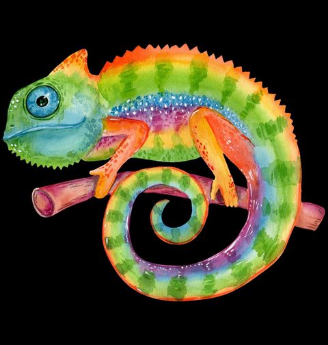 Obrázek produktu Dámské tričko Chameleon na větvi