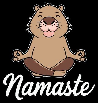 Obrázek 2 produktu Pánské tričko Meditující Kapybara Namaste
