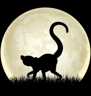Obrázek 2 produktu Pánské tričko Stín Lemura při Úplňku