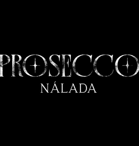 Obrázek produktu Pánské tričko Prosecco nálada