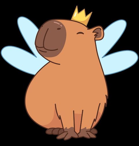 Obrázek produktu Dámské tričko Kapybara Víla princezna Fairybara