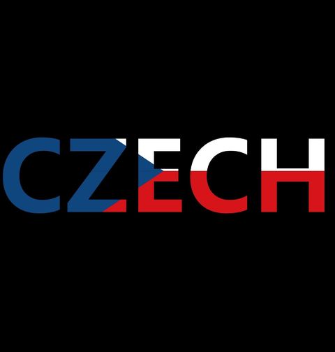 Obrázek produktu Pánské tričko Hrdý Čech Czech