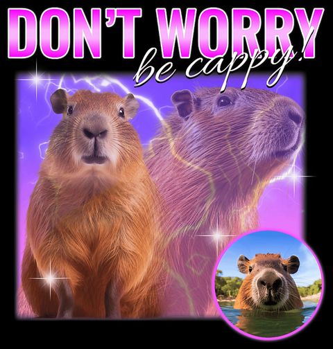 Obrázek produktu Dámské tričko Růžová kapybara Don’t worry Be cappy