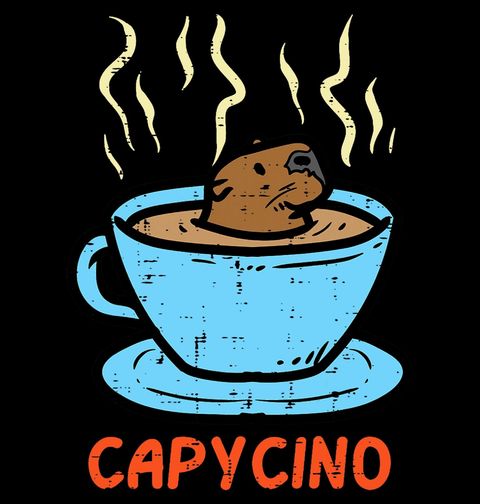 Obrázek produktu Dámské tričko Kapybara v Kávě Capycino