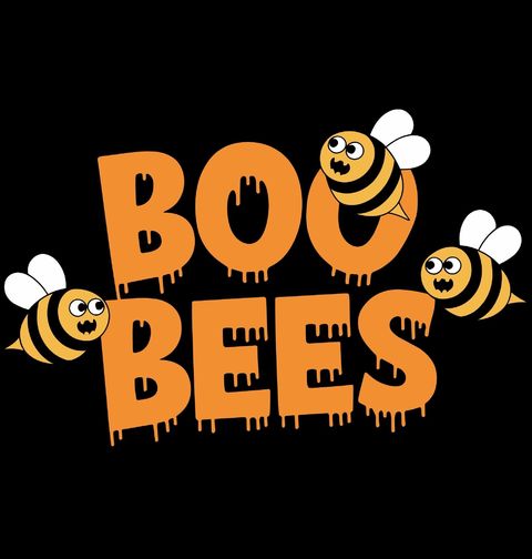 Obrázek produktu Pánské tričko Včelky Boo Bees