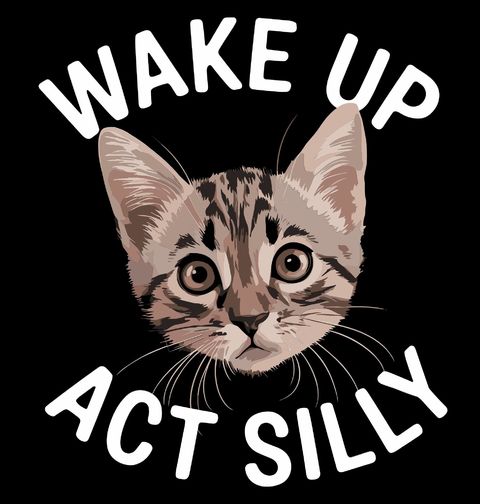 Obrázek produktu Pánské tričko Hravá Kočka Wake Up Act Silly