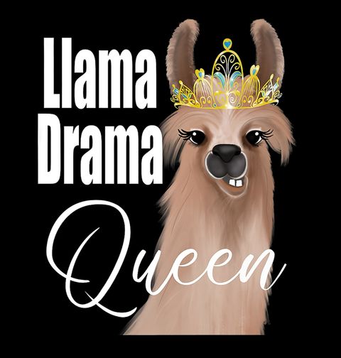Obrázek produktu Dámské tričko Llama Drama Queen