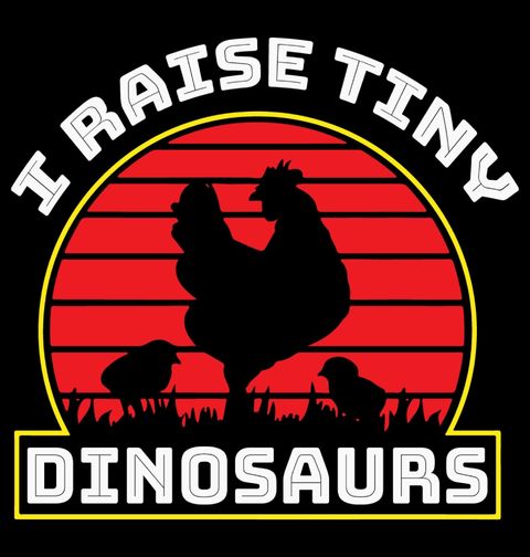 Obrázek produktu Dámské tričko Slepičí Park Chovám malé Dinosaury