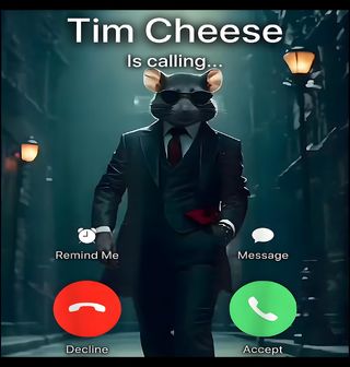 Obrázek 2 produktu Dětské tričko Tim Cheese Is Calling