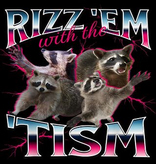 Obrázek 2 produktu Pánské tričko Mývalí Rizz Tism