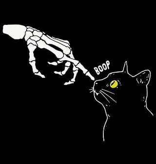 Obrázek 2 produktu Dámské tričko Kočka a Kostlivec Spooky Boop