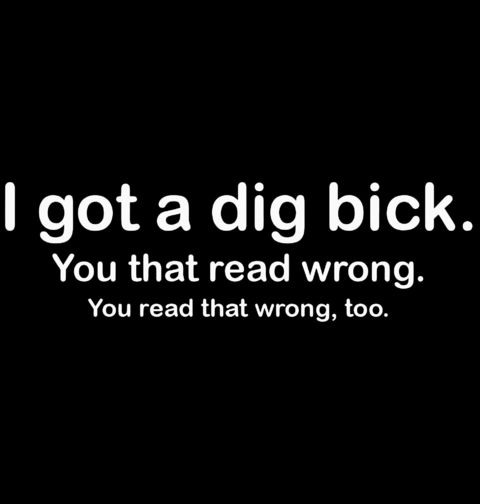 Obrázek produktu Pánské tričko I Got A Dig Bick