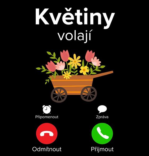 Obrázek produktu Dámské tričko Květiny volají Phone Call