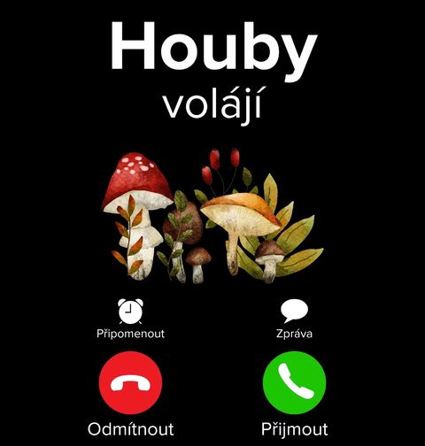 Obrázek produktu Dámské tričko Houby volají Phone Call
