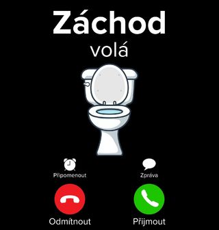 Obrázek 2 produktu Dámské tričko Záchod volá Phone Call