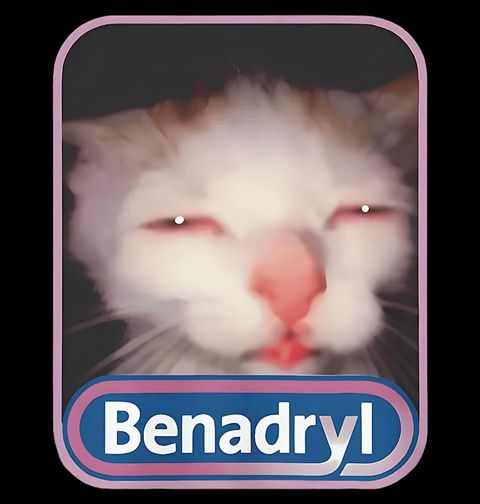 Obrázek produktu Dámské tričko Kočka na Benadrylu