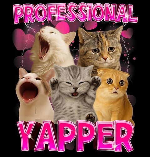 Obrázek produktu Dětské tričko Profesionální Kočičí Yapper