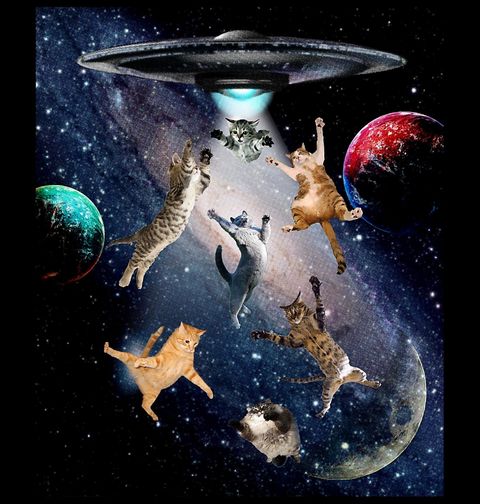 Obrázek produktu Pánské tričko Únos Koček ve Vesmíru UFO