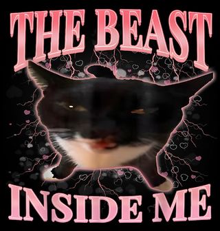 Obrázek 2 produktu Pánské tričko Vnitřní šelma Kočka The Beast Inside Me