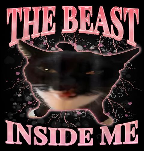 Obrázek produktu Pánské tričko Vnitřní šelma Kočka The Beast Inside Me