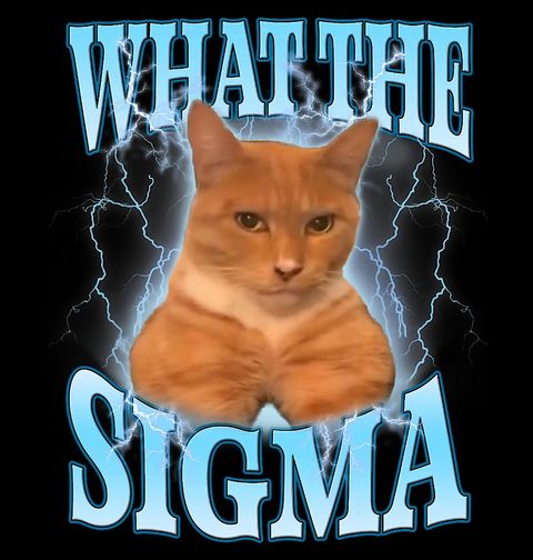 Obrázek produktu Dětské tričko Sigma Kočka What the Sigma Cat?