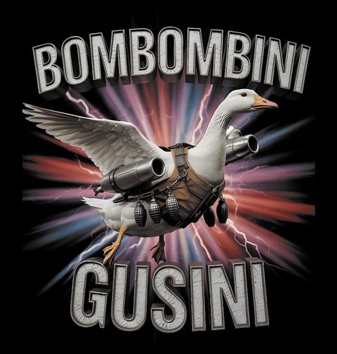 Obrázek produktu Pánské tričko Ozbrojená Husa Bombombini Gusini