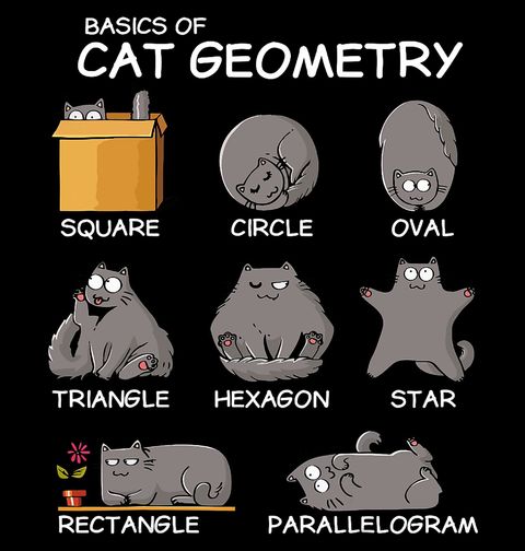 Obrázek produktu Dámské tričko Kočičí geometrie