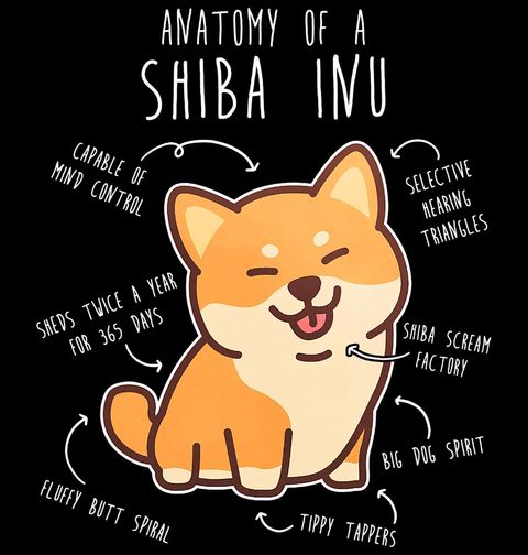 Obrázek produktu Pánské tričko Popis Shiba Inu Anatomy of Shiba Inu
