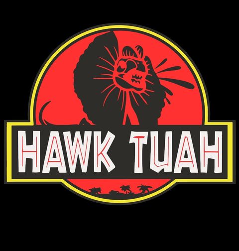 Obrázek produktu Dámské tričko Jurský Hawk Tuah