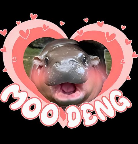 Obrázek produktu Dětské tričko Zamilovaný Hroch Moo Deng
