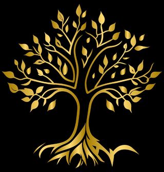 Obrázek 2 produktu Pánské tričko Zlatý Strom Golden Tree