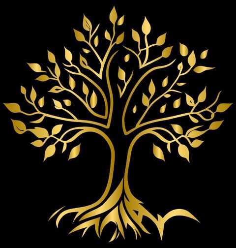 Obrázek produktu Pánské tričko Zlatý Strom Golden Tree