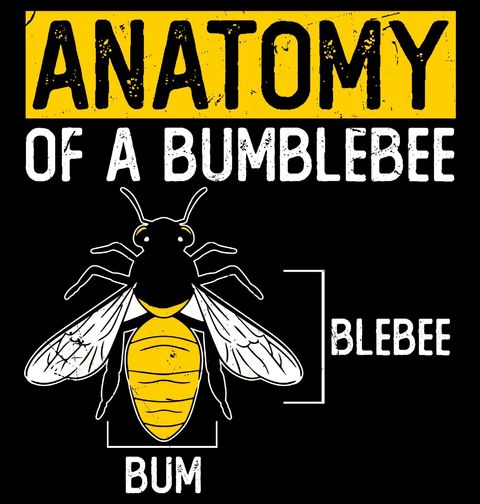 Obrázek produktu Dámské tričko Popis Čmeláka Anatomy of a Bublebee