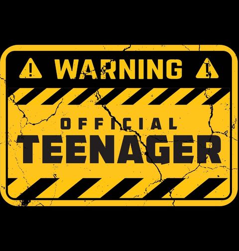 Obrázek produktu Dámské tričko Pozor, teenager! Warning: Official Teenager