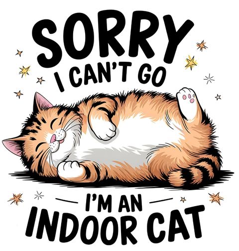 Obrázek produktu Pánské tričko Bytová Kočka I'm an indoor cat
